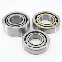 SL30 ฉนวนมอเตอร์พิเศษยาวนาน 6000 6001 6002 6003 Micro-bearing 